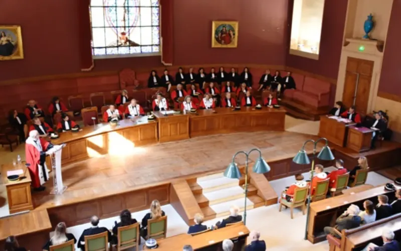 French Man Sentenced to 11 Years for Ruining Elderly Woman