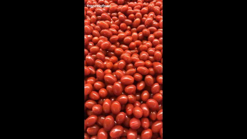 French tomato growers fight back at 0.99€ cherry tomatoes