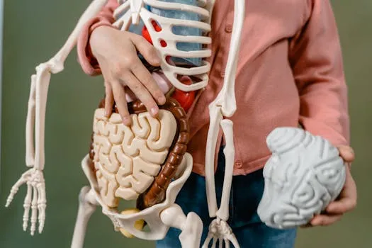 Friso promeut la santé intestinale pour la Journée mondiale de la santé digestive