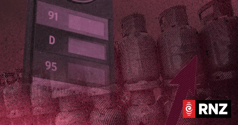 Fuel price surge pressures households, experts offer tips