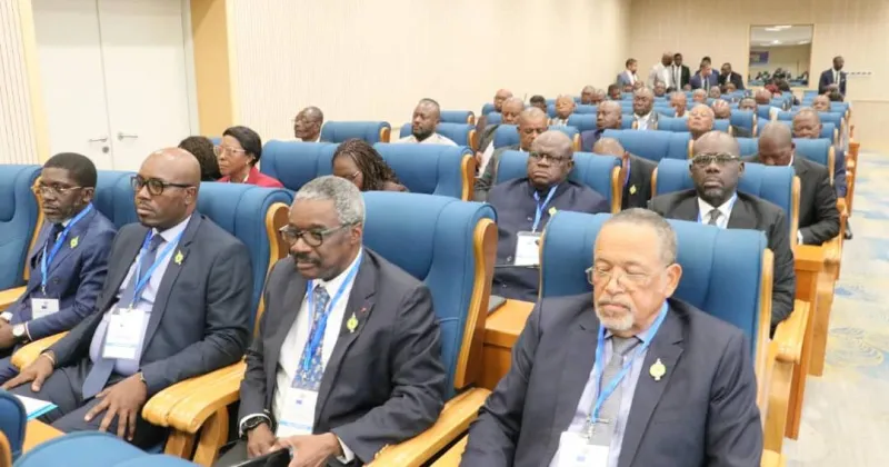 Gabon MPs Trained in Legislative Amendment Drafting and Ethics