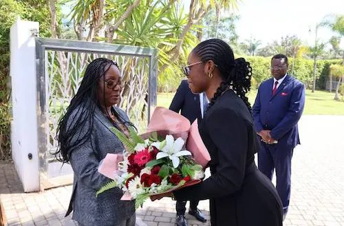 Gabonese Minister Meets Ambassador in Morocco