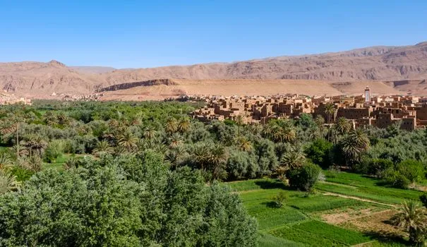 Gafaït: Green Oasis in Jerada Mountains