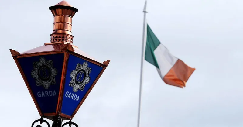 Garda awarded €90,813 for injuries in bail check assault