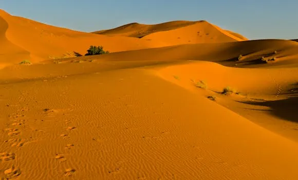 L'Allemagne réaffirme le plan d'autonomie marocain pour le Sahara