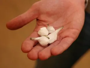Global Drug Use Rises: New Report Shows 292 Million Users