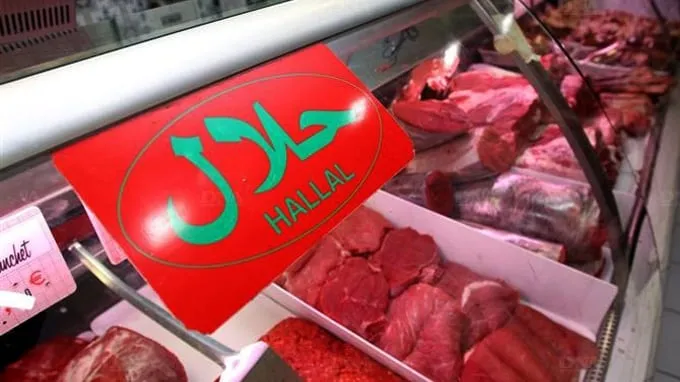 Global Halal Market Valued at Trillions, Morocco's Role
