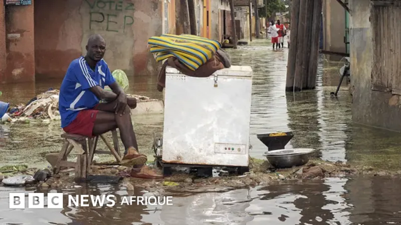 Risques 2026 : principales menaces et défis pour l'Afrique