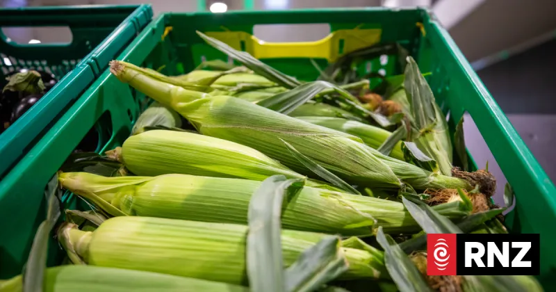 Le gouvernement investit 50 000 $ dans l'offre des producteurs de Hawke's Bay