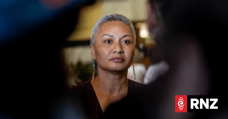 Green Party Slams Govt's Fees-Free Scrapping