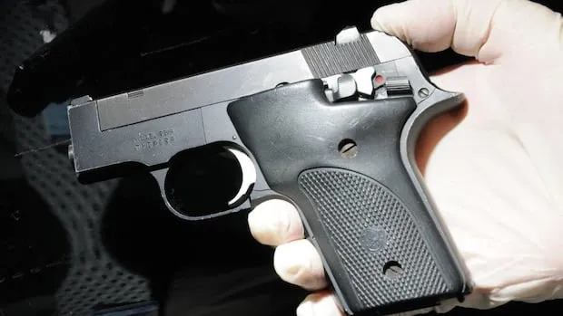 Gun-related intimate partner violence rates rise: StatsCan