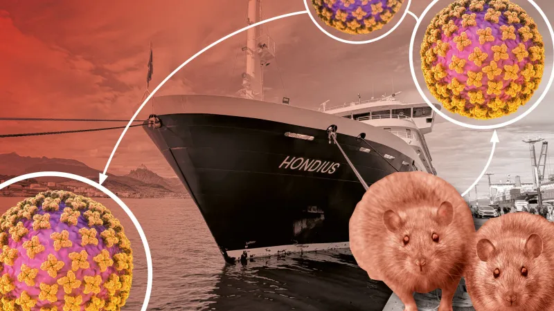 Hantavirus: A Test for Global Health Cooperation