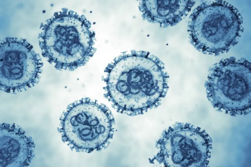 Hantavirus Discussed at SMALMI Congress
