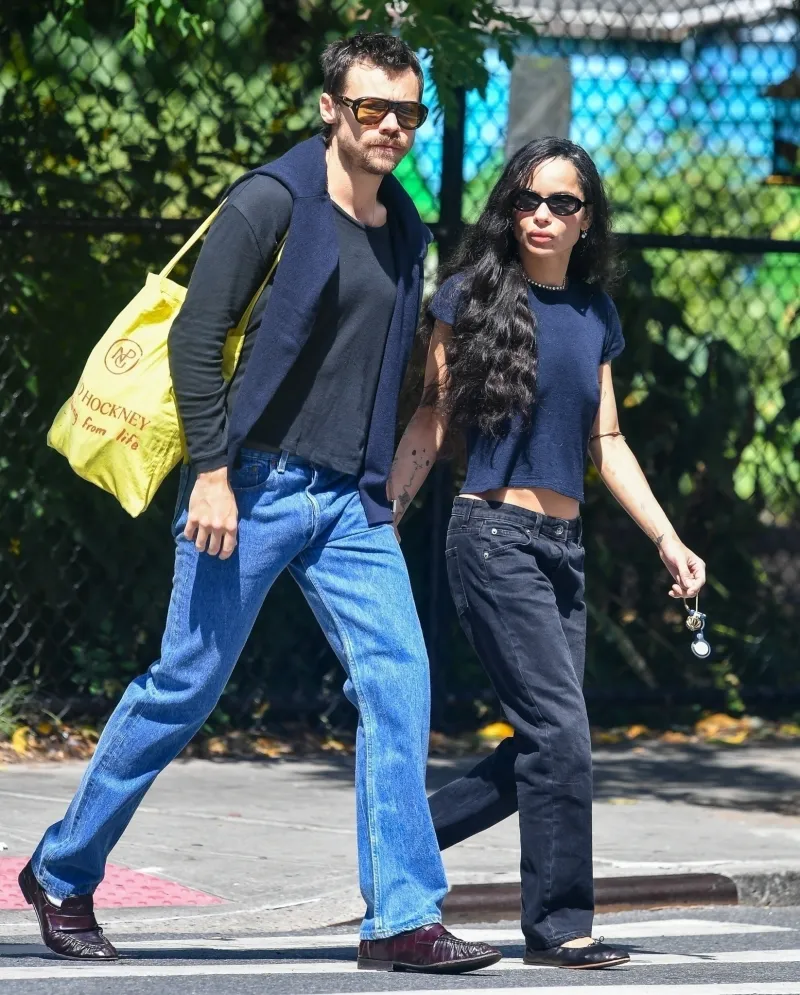 Harry Styles, Zoe Kravitz Baby Rumors Unverified