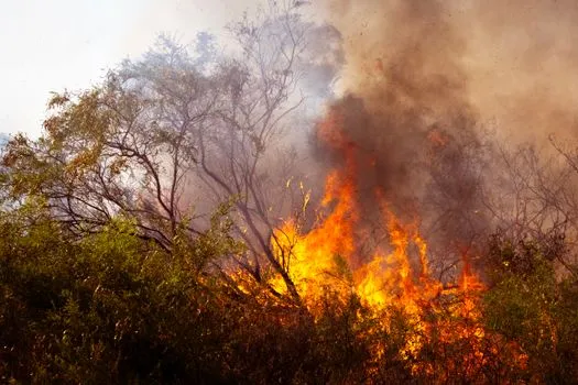 Hawk Fire in Nevada Grows to 10,500 Acres, Destroys Structures