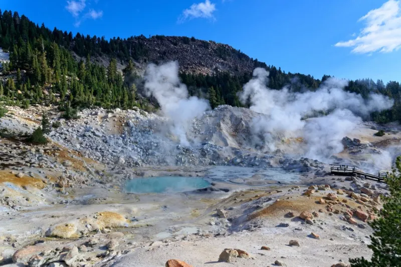 Heat-Loving 'Fire Amoeba' Found in California Park