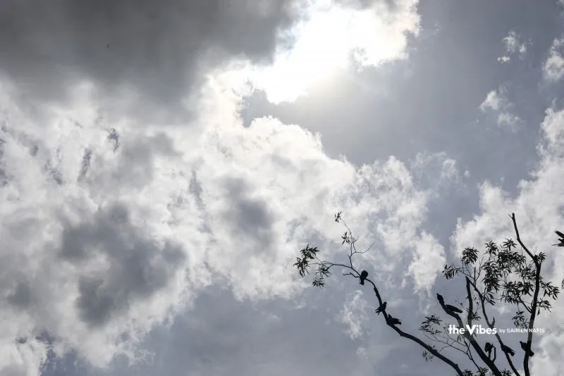 Heatwave: 56 Cases, 2 Deaths Reported