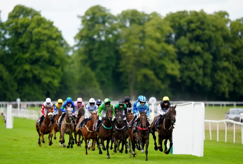 Heatwave Forces Cancellation of City Horse Racing Event