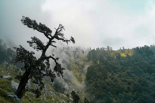 Heavy Rain Hits Himachal Pradesh, Relief from Heat