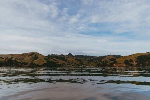 Henry Nicholls reflects on decade with New Zealand cricket