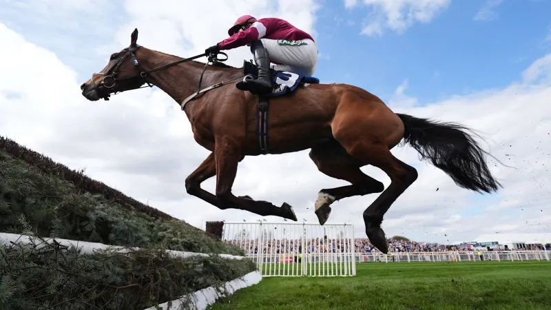 Horse Dies After Winning at Grand National Festival
