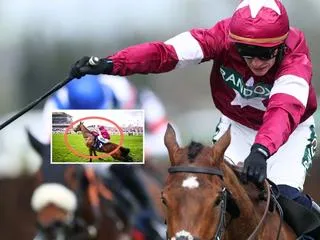 Horse Euthanized After Injury at Grand National