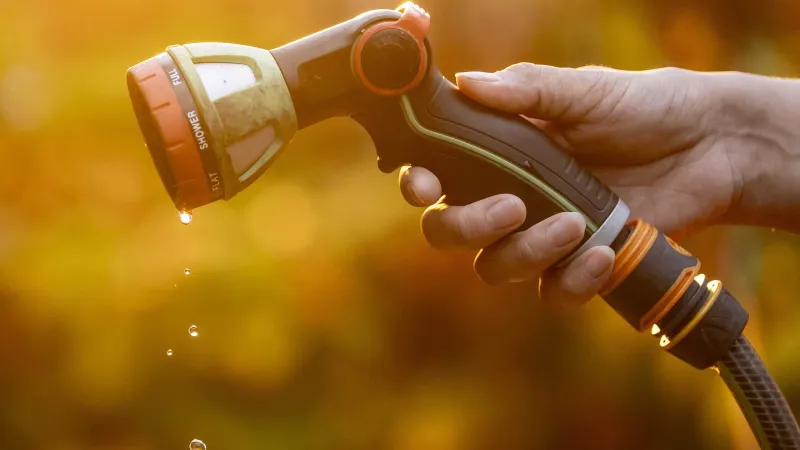 Hosepipe ban: 1 in 10 UK households plan to defy restrictions