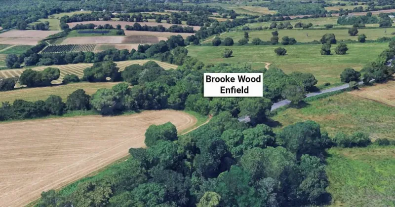 Un crâne humain retrouvé pendu à un arbre à Londres