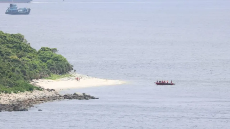 Crâne humain trouvé suspendu à un arbre sur l'île Round