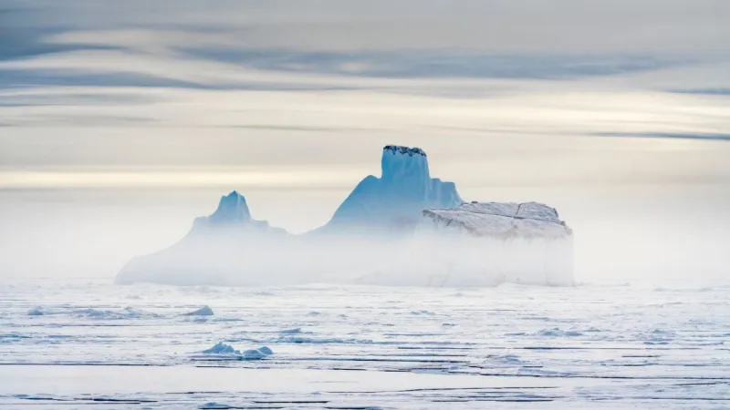 Icebergs Reshape Deep-Sea Ecosystems, Study Finds