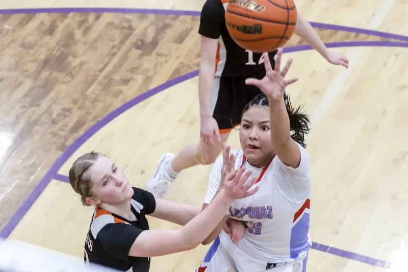 Idaho Statesman names 2026 All-Idaho basketball Players of the Year