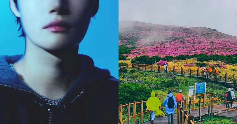L'histoire de course au couteau à Jeju refait surface