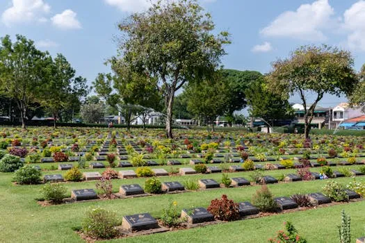 Les vétérans d'Illawarra partagent leur lien sur la piste Kokoda