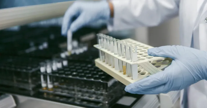 Immune gene variants may accelerate BRCA1 breast cancer onset