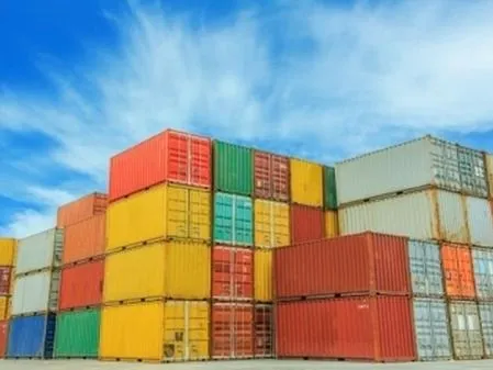 India-New Zealand FTA Talks Progress, Minister Says
