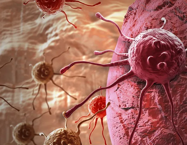 International Team Builds Cancer Models for Drug Development