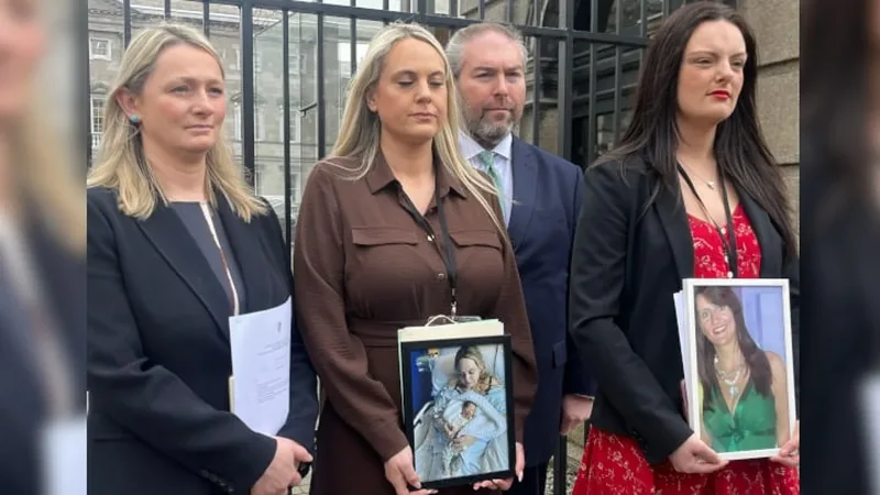Irish bill seeks to include pregnancy loss in road traffic law