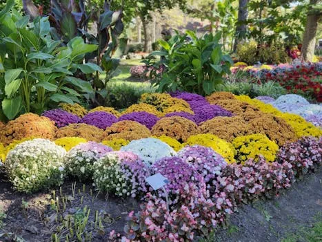 Le Club de Jardinage de Jacksonville fête ses 95 ans