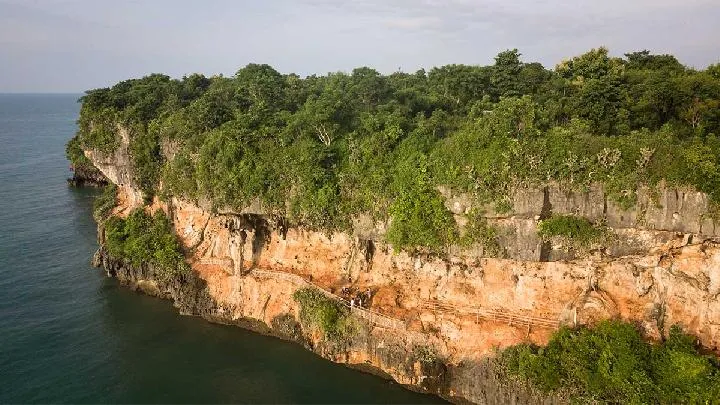 Java's Vanishing Green: A Reflection on Deforestation