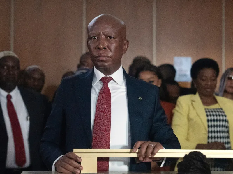 Julius Malema's Gun Conviction Upheld, Sentence Suspended