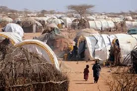 Kenya's refugee population rises to 835,793 by 2025