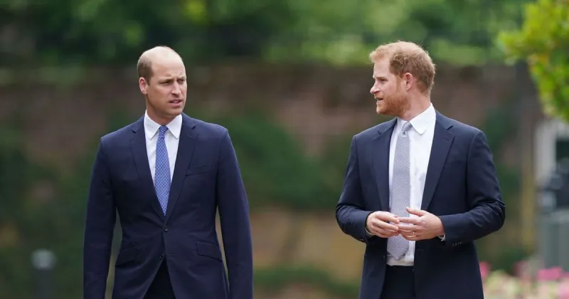King Charles Aide Aims to Mend William-Harry Rift