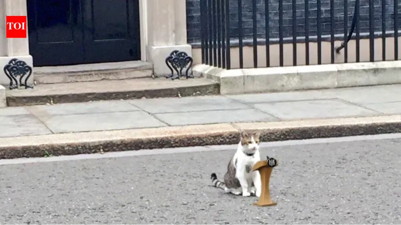 Larry the Cat Remains as UK PM Starmer Resigns