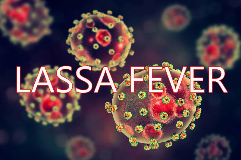 Lassa fever deaths hit 258 as fatality rate rises to 24%