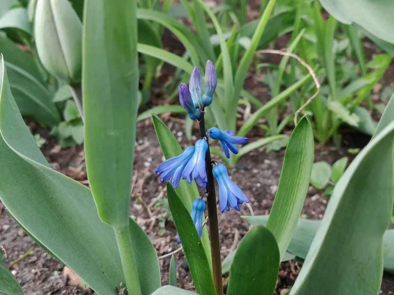 Latvia braces for unsettled weather, fog patches expected