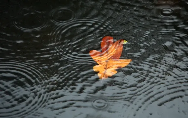 Latvia Weather: Sunday Wind Gusts Up to 19 m/s