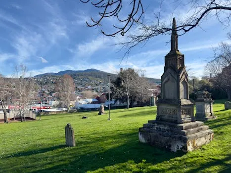 Launceston-born Sophie Fawns' rise aids Tasmania's netball bid