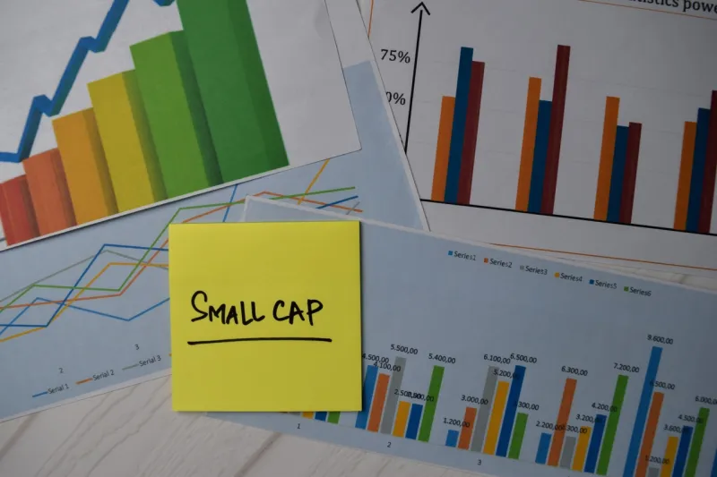Lazard US Small Cap Equity Select Q1 2026 Commentary