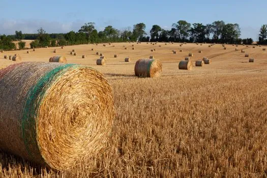 Le Pays d'Ouche: Normandy's Cereal Plain in the Eure