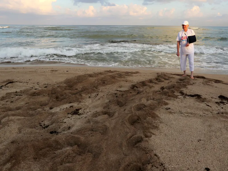 Lebanese conservationist Mona Khalil dies from Israeli strike wounds